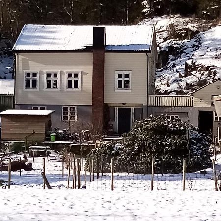 Stall Hav-Vik Farmstay Farsund Exterior foto