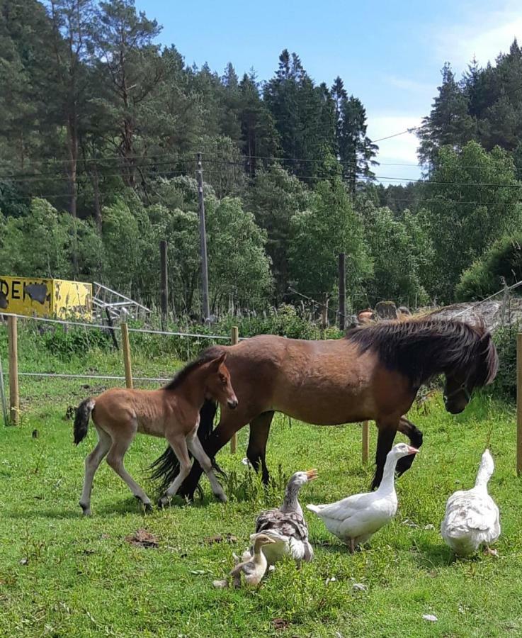 Stall Hav-Vik Farmstay Farsund Exterior foto