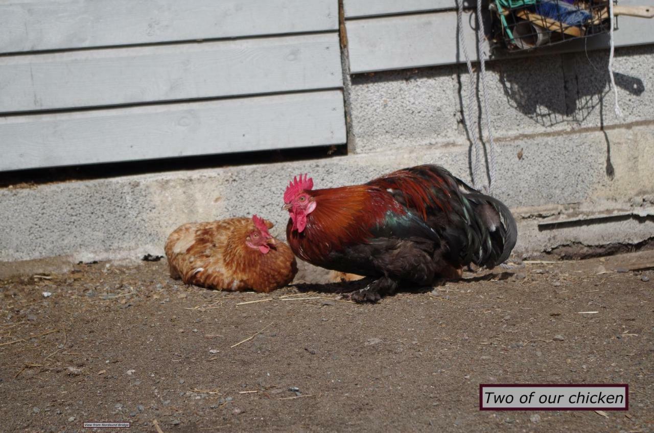 Stall Hav-Vik Farmstay Farsund Exterior foto